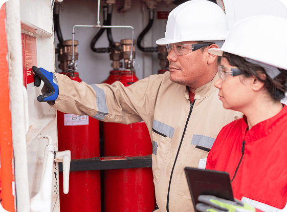 Fire Systems Inspection